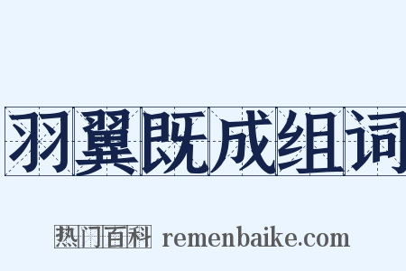 羽翼既成组词是什么意思的图片